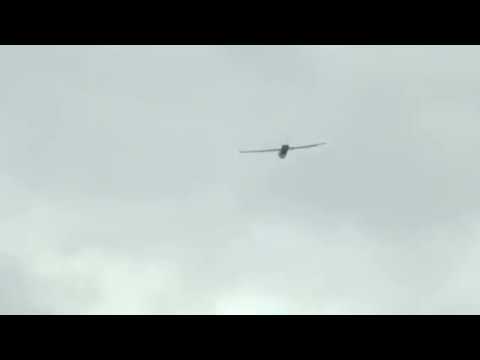 US Army selects Raytheon for near-term counter-UAS mission