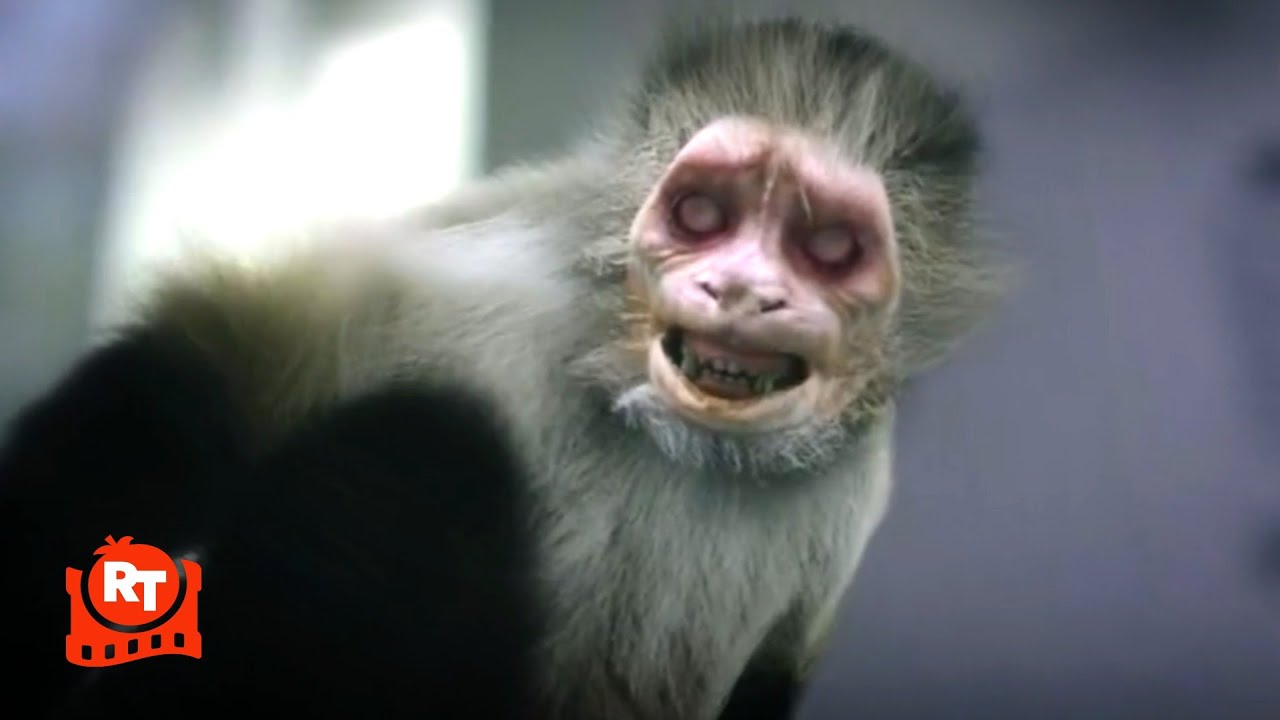 Zoombies (2016) - Zombie Monkey Scene | Movieclips
