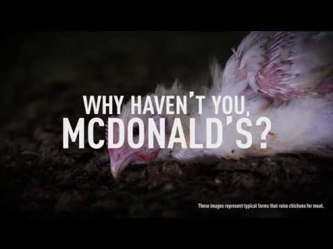 Activists Protest McDonald's Subpar Animal Welfare Standards During Annual Shareholders Meeting