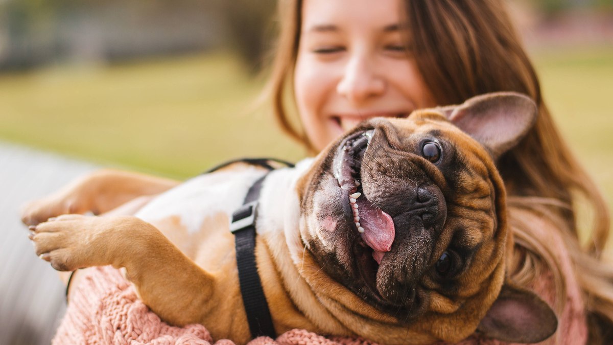 Como a rotina dos tutores interfere na saúde emocional dos pets