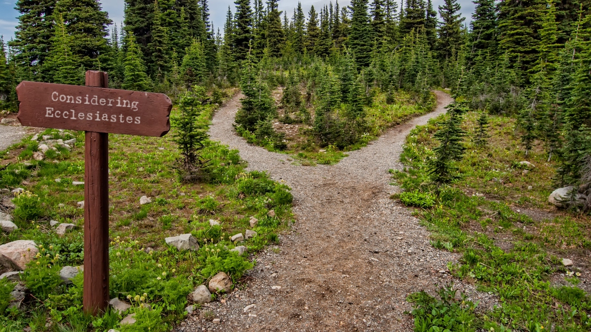 Uncharted Waters (Considering Ecclesiastes) - Rambling Ever On