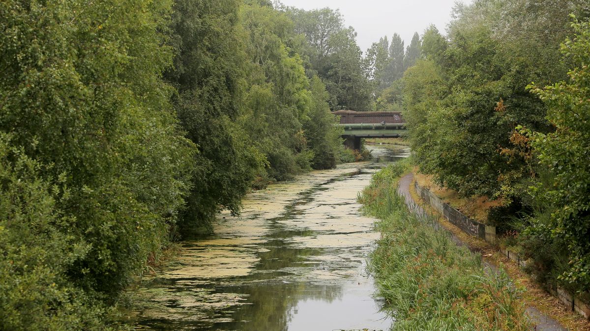 Suspected source of Walsall toxic spillage named by Environment Agency as investigation launched - Birmingham Live