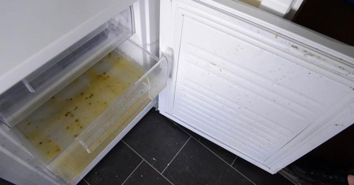 Ukrainian family who fled to Scotland given filthy flat with old nappy in fridge - Daily Record