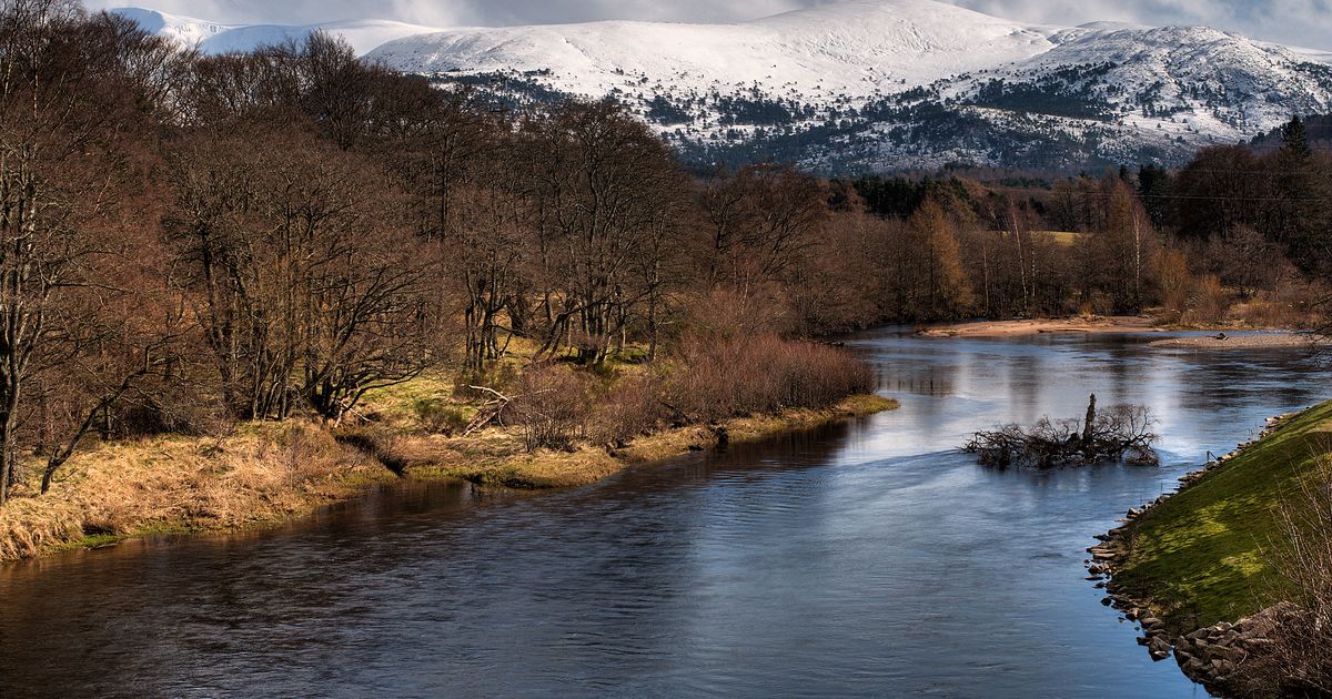 Feargal Sharkey demands answers after stretch of Scotland’s most famous salmon fishing river deteriorates - Daily Record