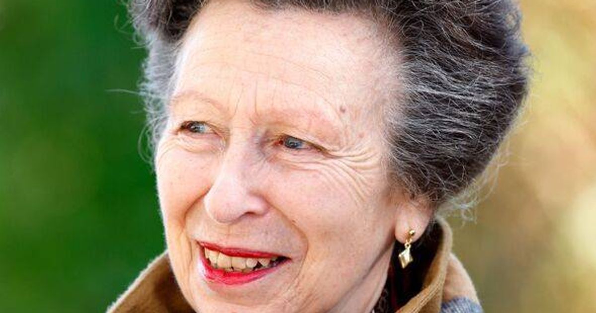 Princess Anne's son launches new career bid with tribute to mum's second favourite 'passion' - Daily Record