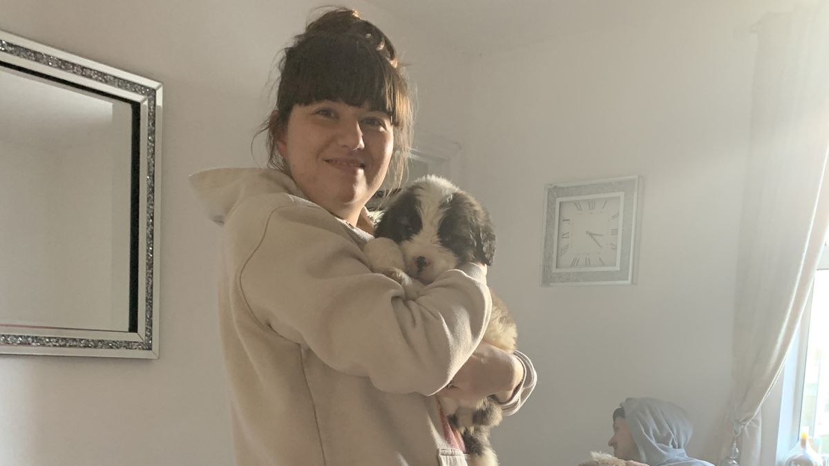 'I had my giant puppies put down after they dragged me outside and tore my clothes off' - Daily Star