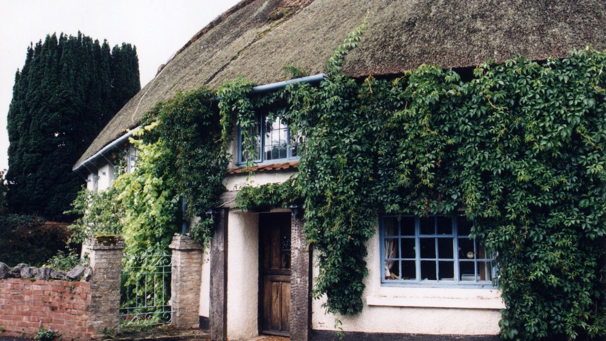 Princess Diana's Devon love trysts remembered | Devon Live