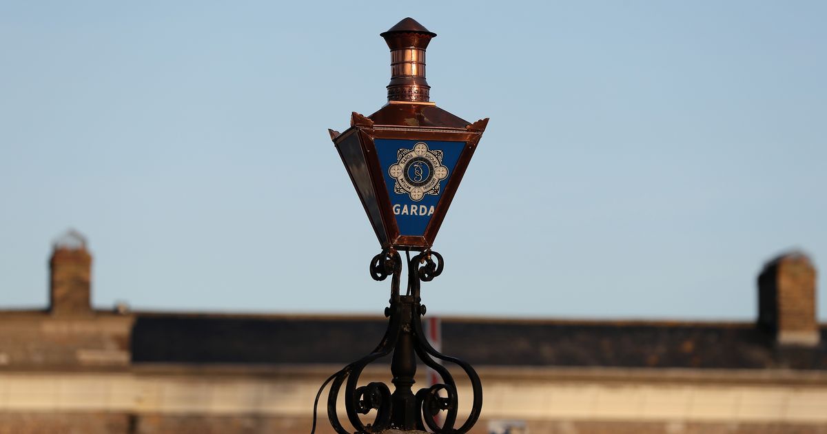 Gardai track down and remove 25 foreign sex offenders in the last 12 months - Irish Mirror
