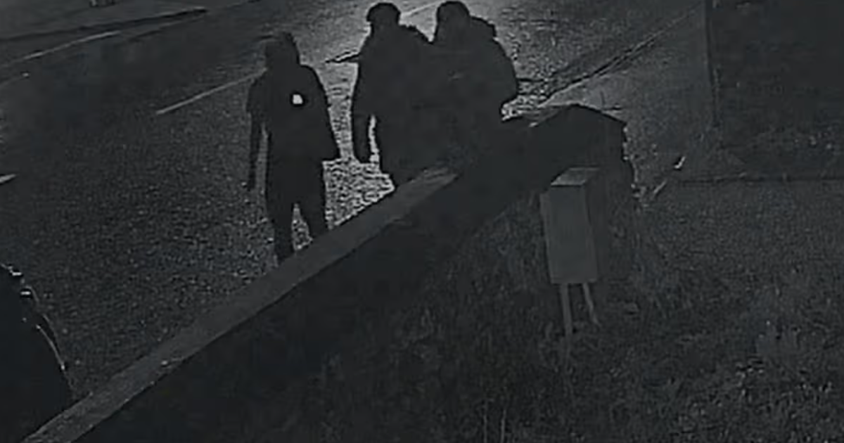 CCTV captures youths slashing car tyres in Cork town at night - Irish Mirror