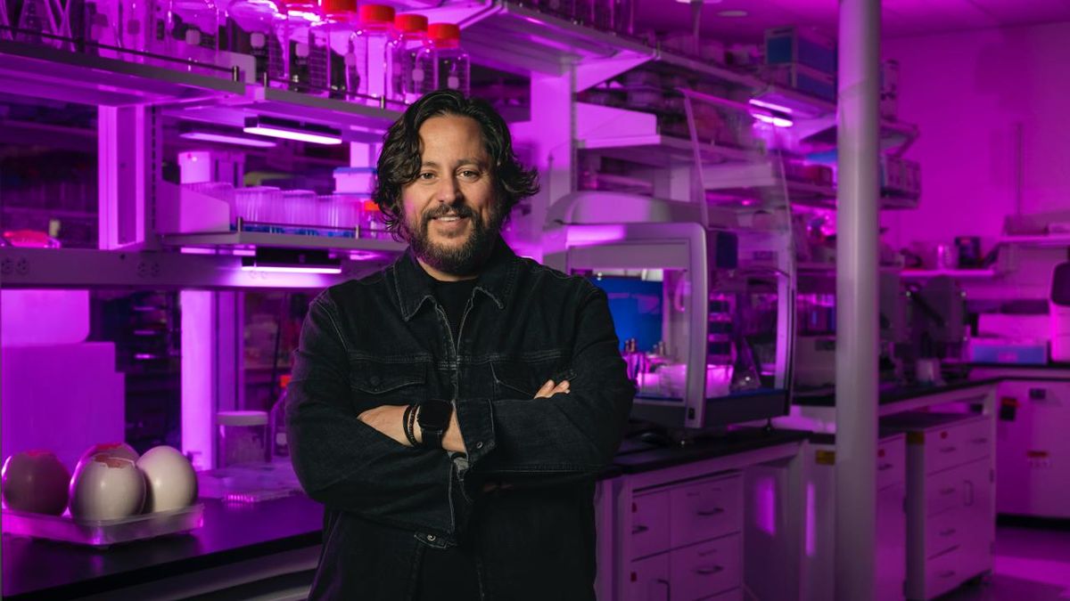 Colossal Biosciences merges Artificial Intelligence with showbiz to revive extinct species | Irish Star