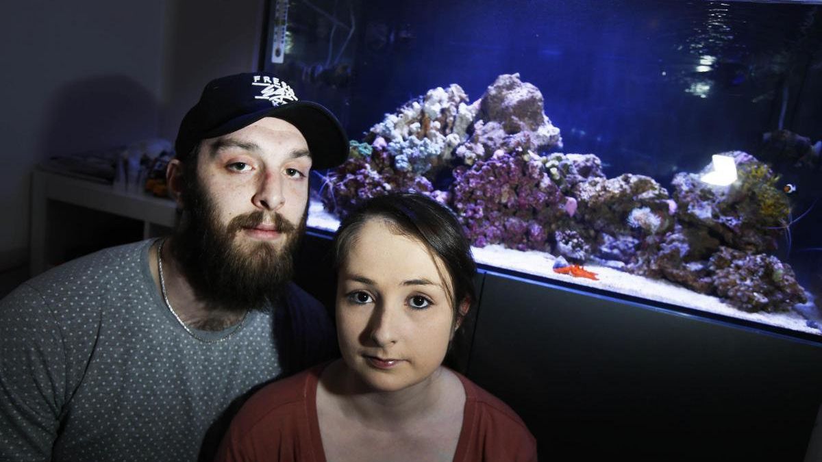Man reveals how his FISH TANK released the world's second deadliest poison leaving family and four firefighters ill - The Mirror