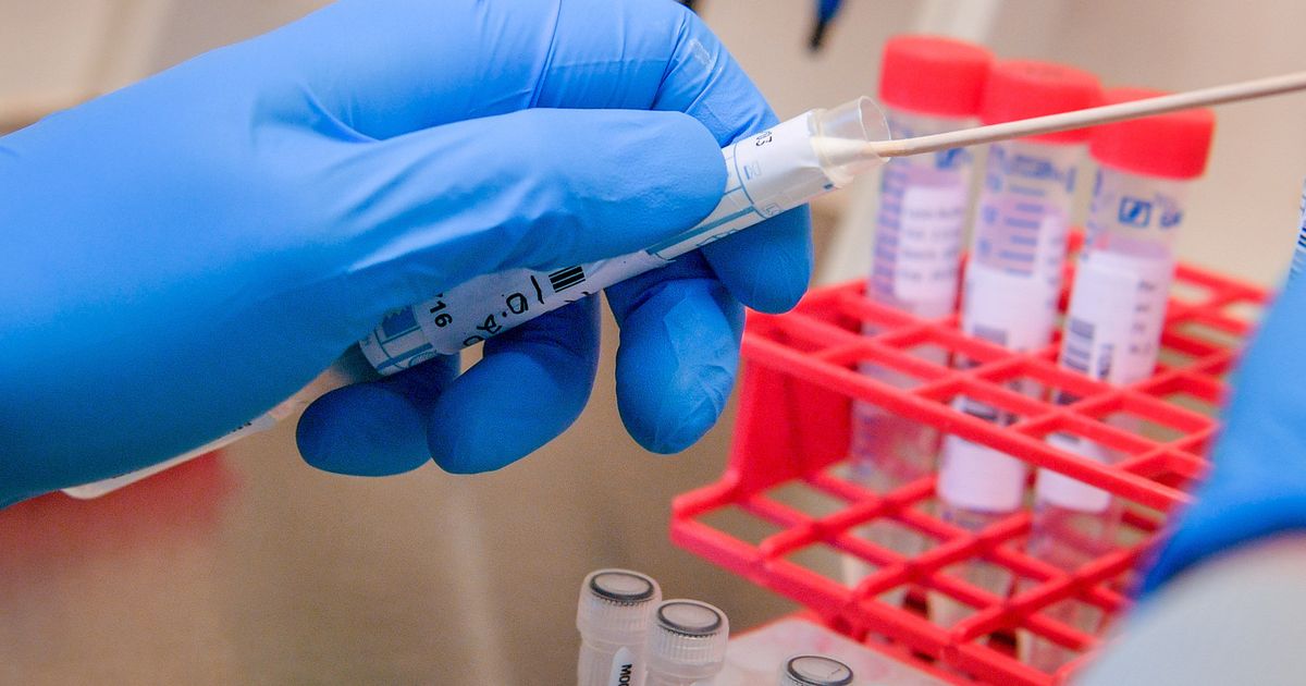 Coronavirus tests pulled over safety fears supplied by firm who donated £160k to Tories - The Mirror