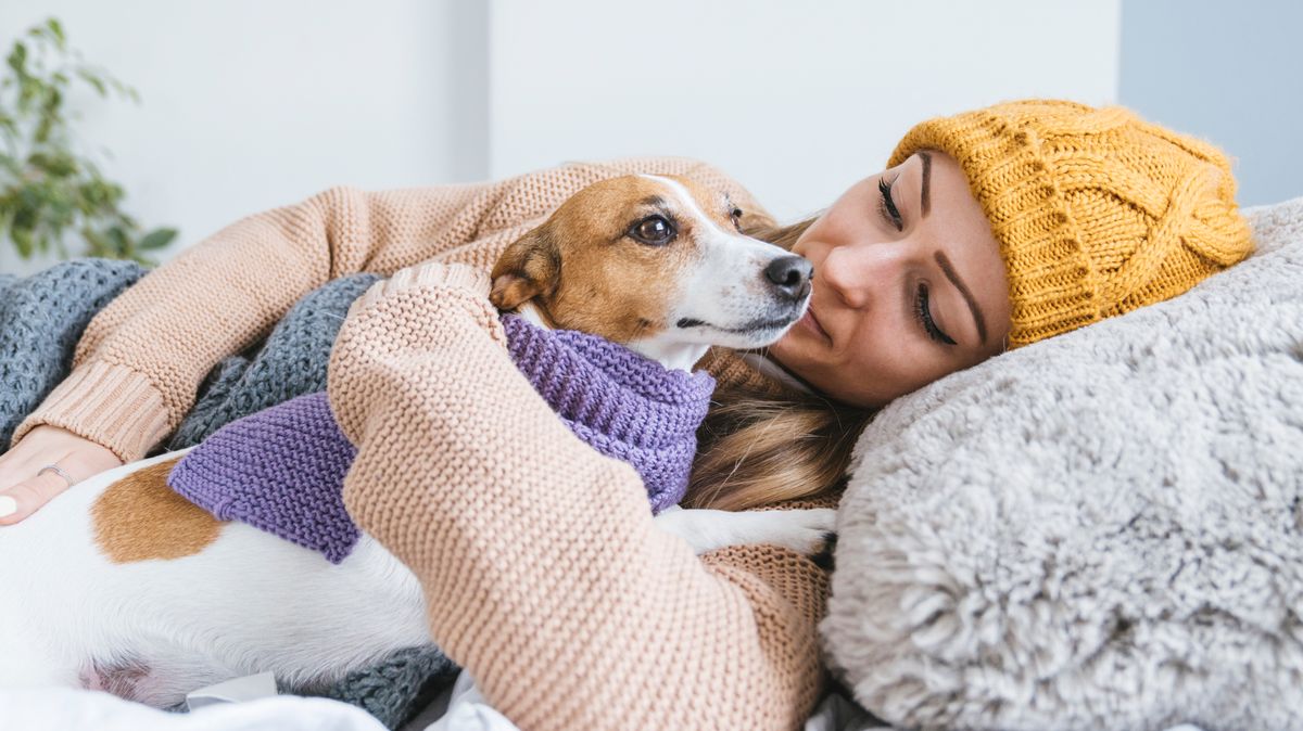Woman orders XL jumper for dog but can't get over what arrives - The Mirror