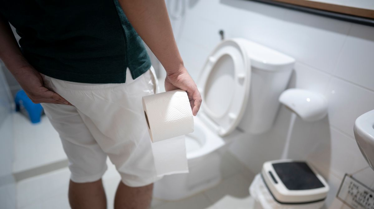 Cruise ship passengers are just learning gross reason toilets have buckets - The Mirror