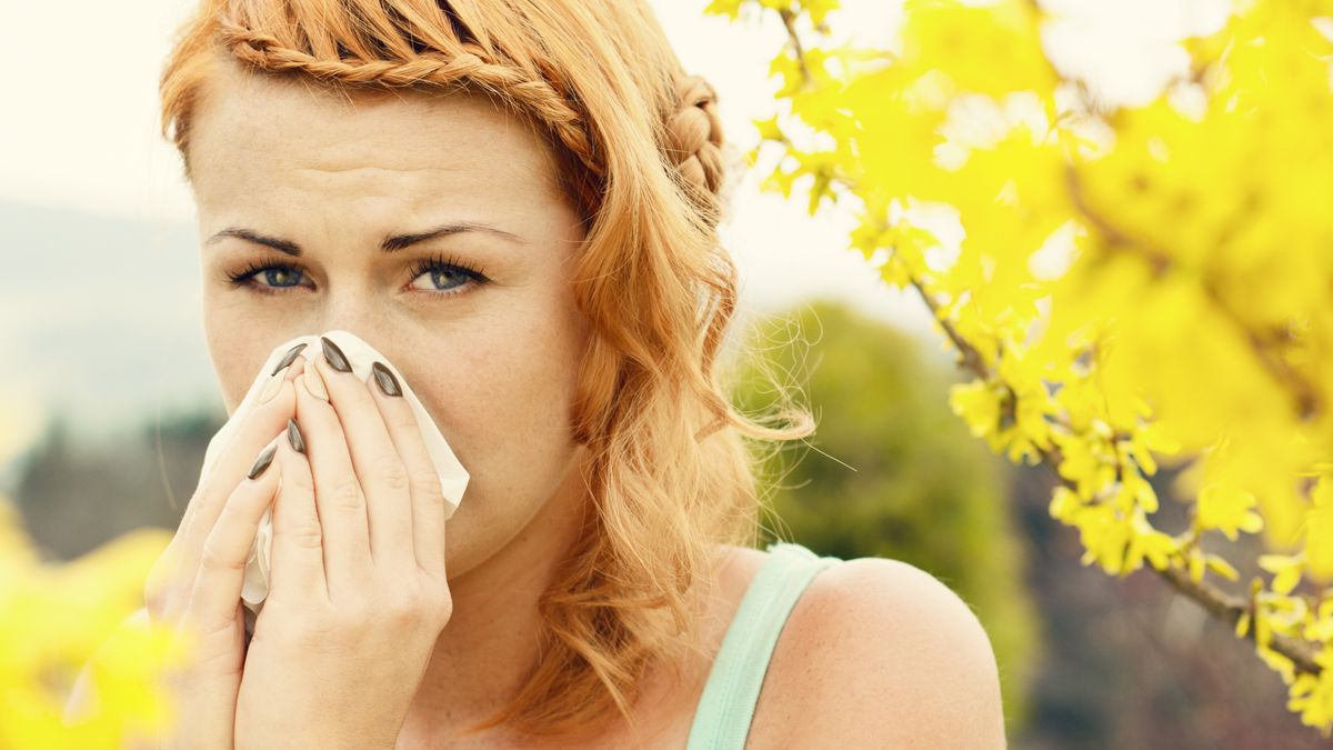 Suffering from hay fever? Five foods to combat hay fever naturally - and how to allergy-proof your home - The Mirror