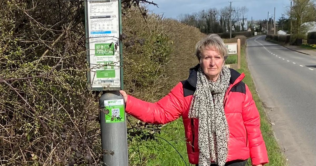 Somerset councillor quits ruling Lib Dems to go independent | Somerset Live