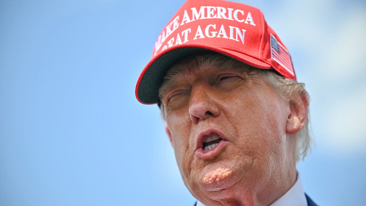 Trump calls own MAGA supporters 'weaklings' for falling for Epstein 'hoax' in campaign promise U-turn - The Mirror US