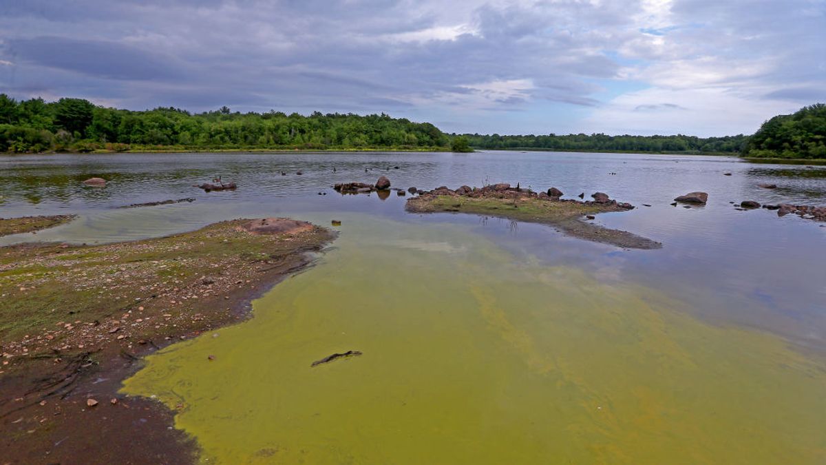 Flesh eating bacteria found in Long Island waters with victims facing death in hours - The Mirror US
