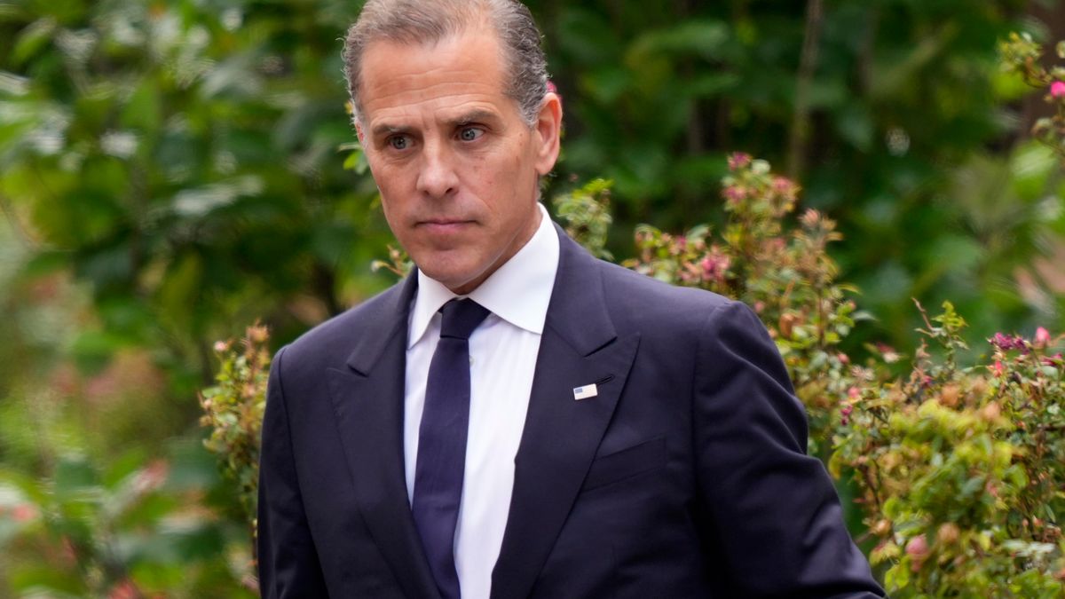 Hunter Biden's attempt to dismiss tax case using Trump precedent fails in court - The Mirror US