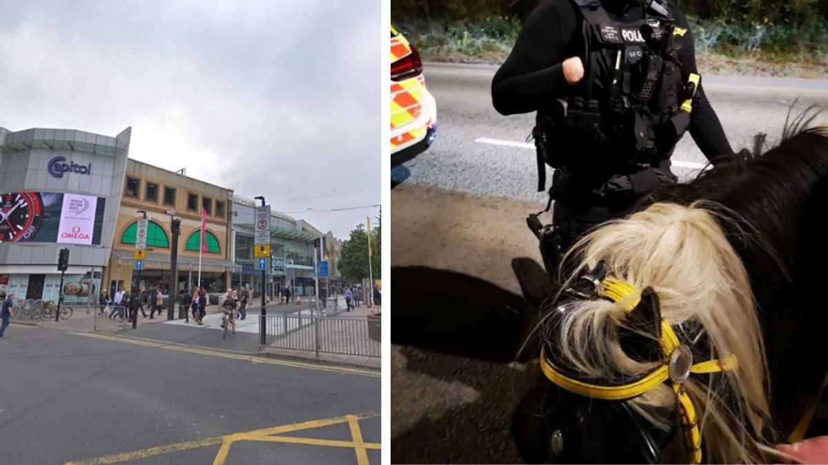 Man suspected of being drunk in charge of horse in Cardiff city centre is arrested by armed officers | Wales Online