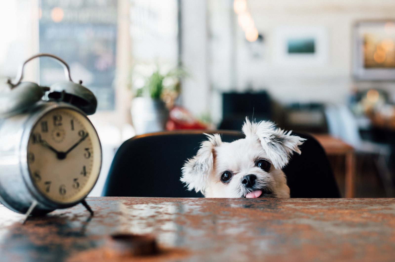 How daylight saving time affects health, and why Turkey was right to abandon it | Daily Sabah