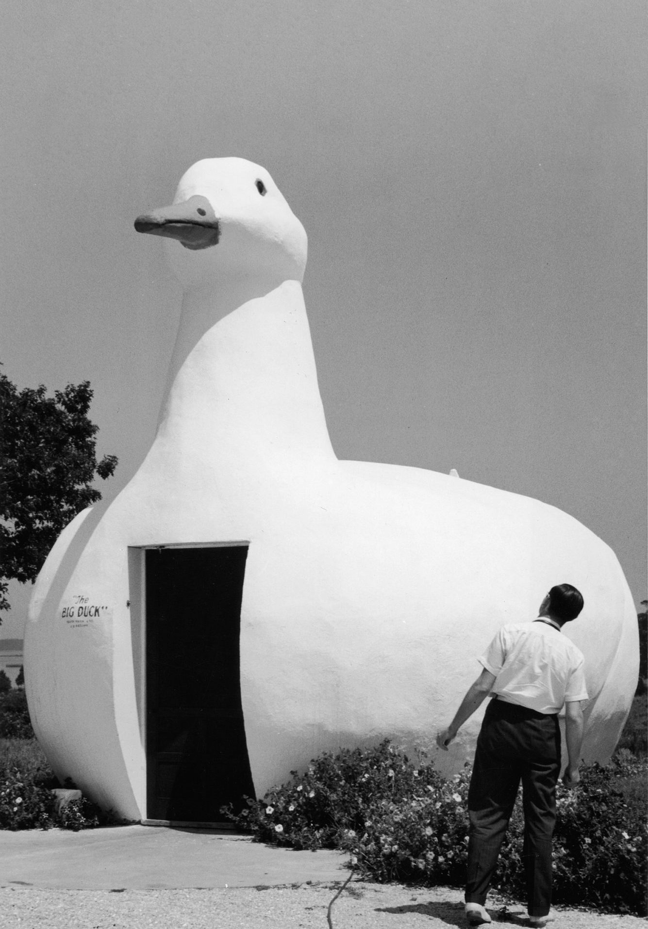 What the Duck - Kinfolk