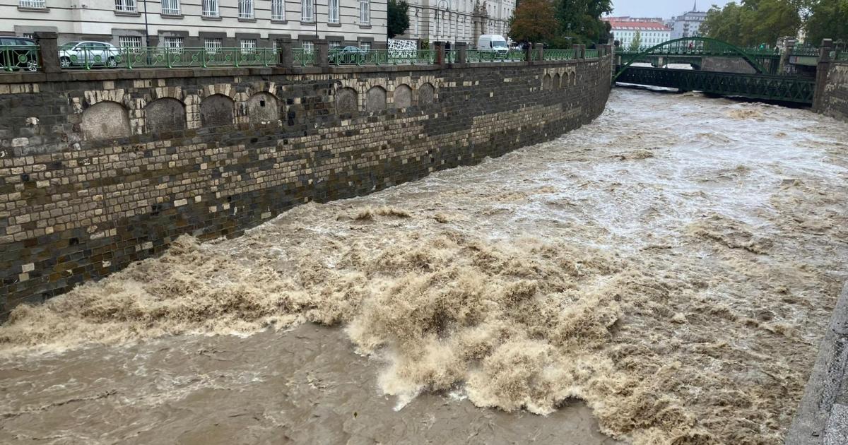 "Land unter" in Wien: Wienfluss rauscht "unentschärft" durch die Stadt | Kurier