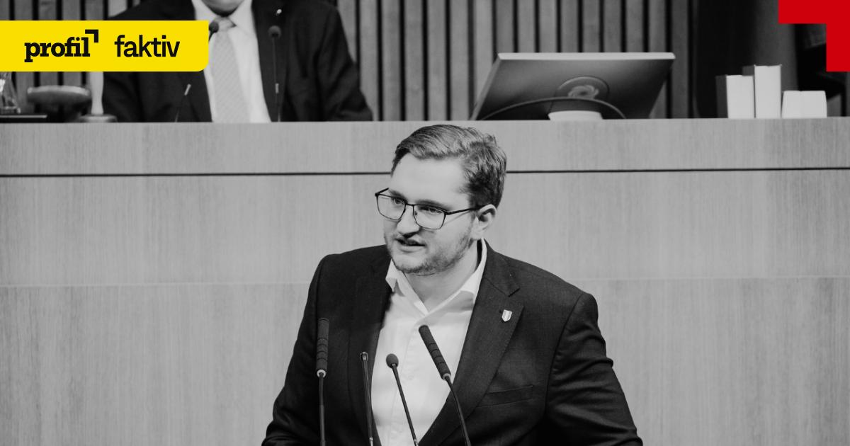 Faktencheck: FPÖ spielt rechtsextreme Tathandlungen herunter
