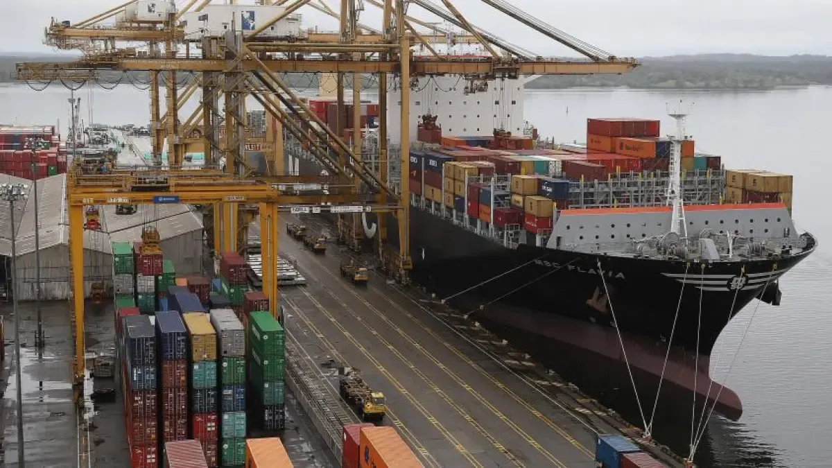Silvia Viviana cover