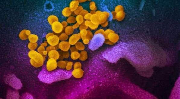 OMS declara coronavírus como pandemia