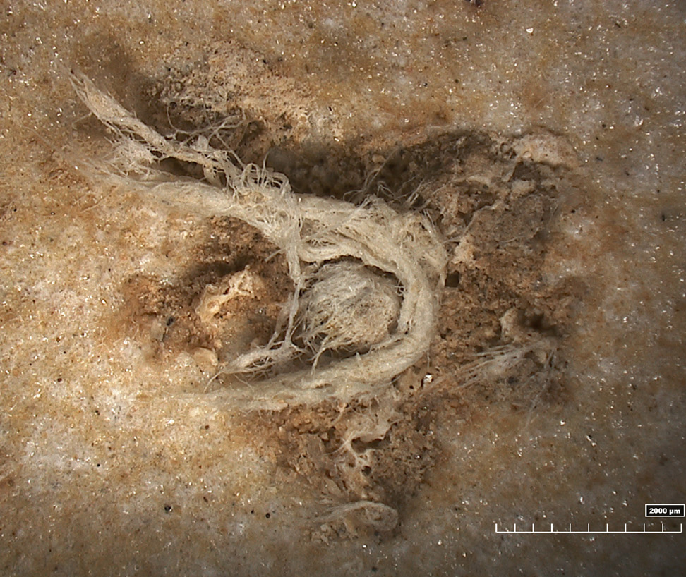 Abri du Maras: Die mehr als 40.000 Jahre alte Schnur eines Neandertalers