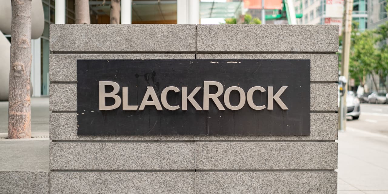 BlackRock, Morgan Stanley, and Partners Group Team Up on New Alts Offering