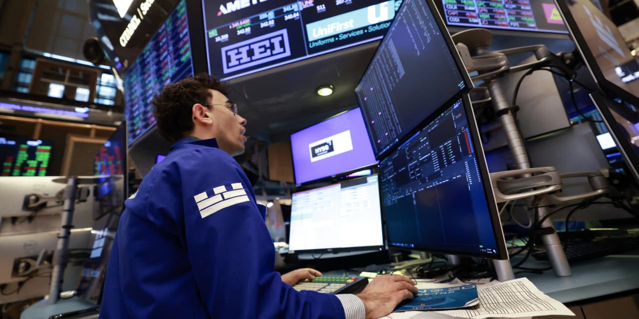 Tech Had an Awful Earnings Season. Other Stocks Are Saving the Day.