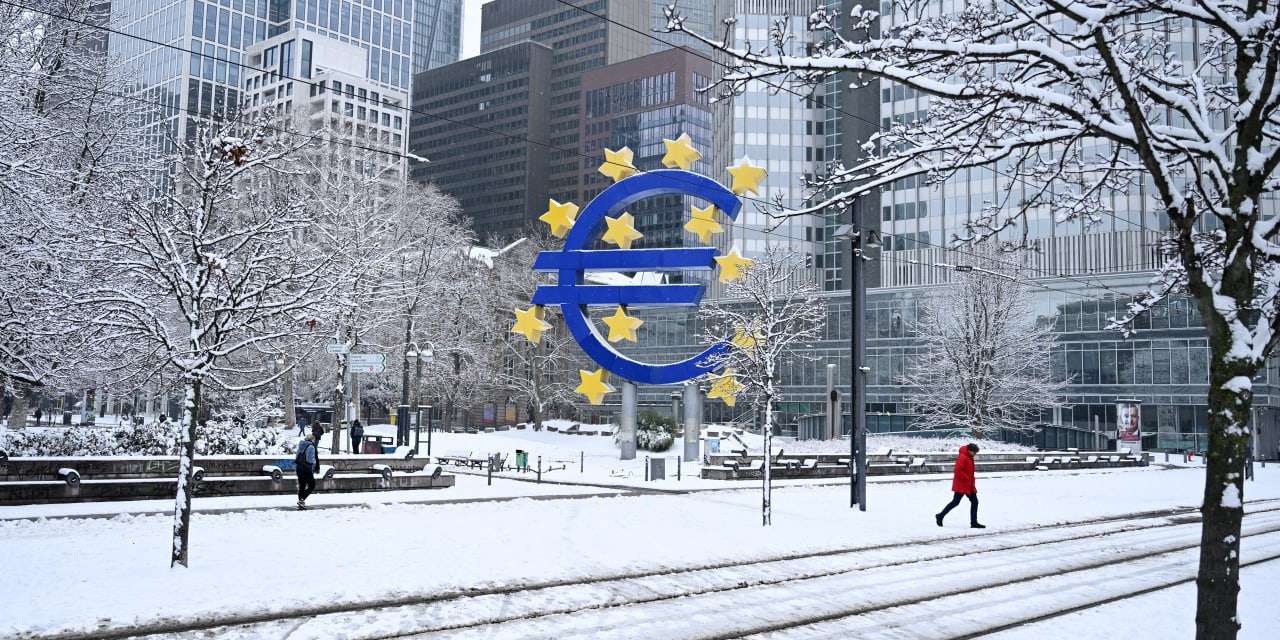 Europe Holds Interest Rates Steady, Following the Fed. Why the Weak Dollar Is a Factor.