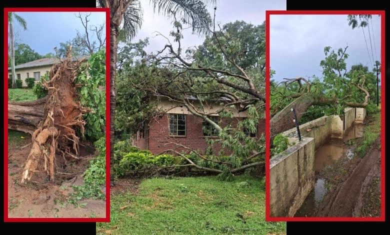 Mbombela weather: Residents report destruction following Croc Valley storm | Lowvelder