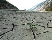 Con meteo pazzo e prezzi alti, servono nuove idee per l'agricoltura - Corriere.it