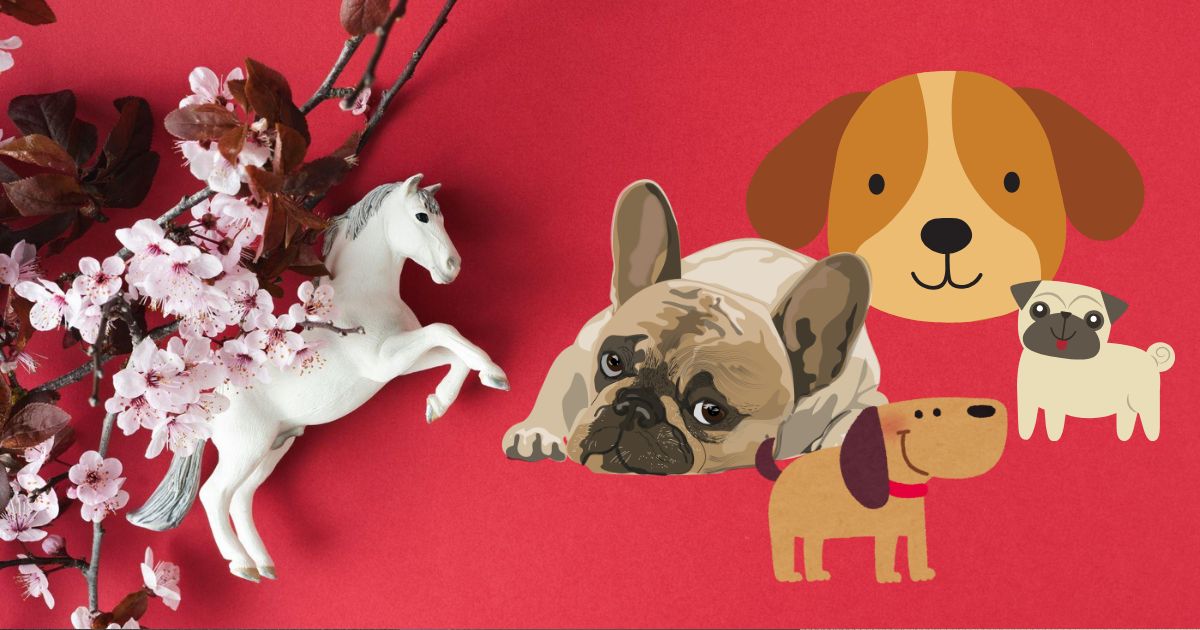 Year of the Fire Horse: A 2026 forecast for those born in the Year of the Dog | GMA News Online