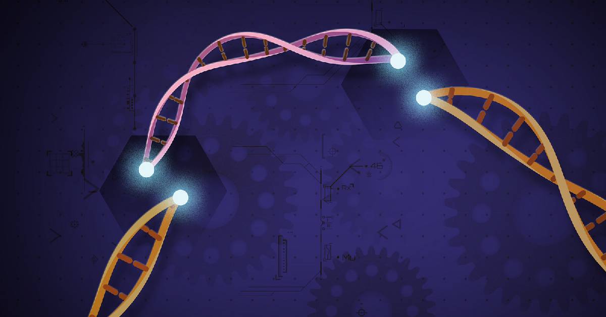 Everything You Ever Wanted to Know About CRISPR