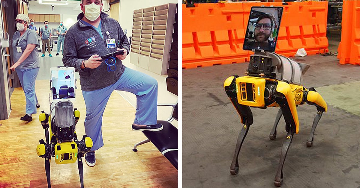 Boston Dynamics Sends Robot Dog to Help Doctors Treat Coronavirus Patients