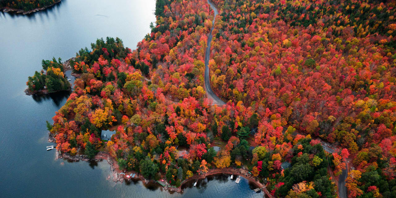 ‘Now They Want Out’—Motivated Sellers in Rural Ontario Are Giving New Buyers a Deal - Mansion Global