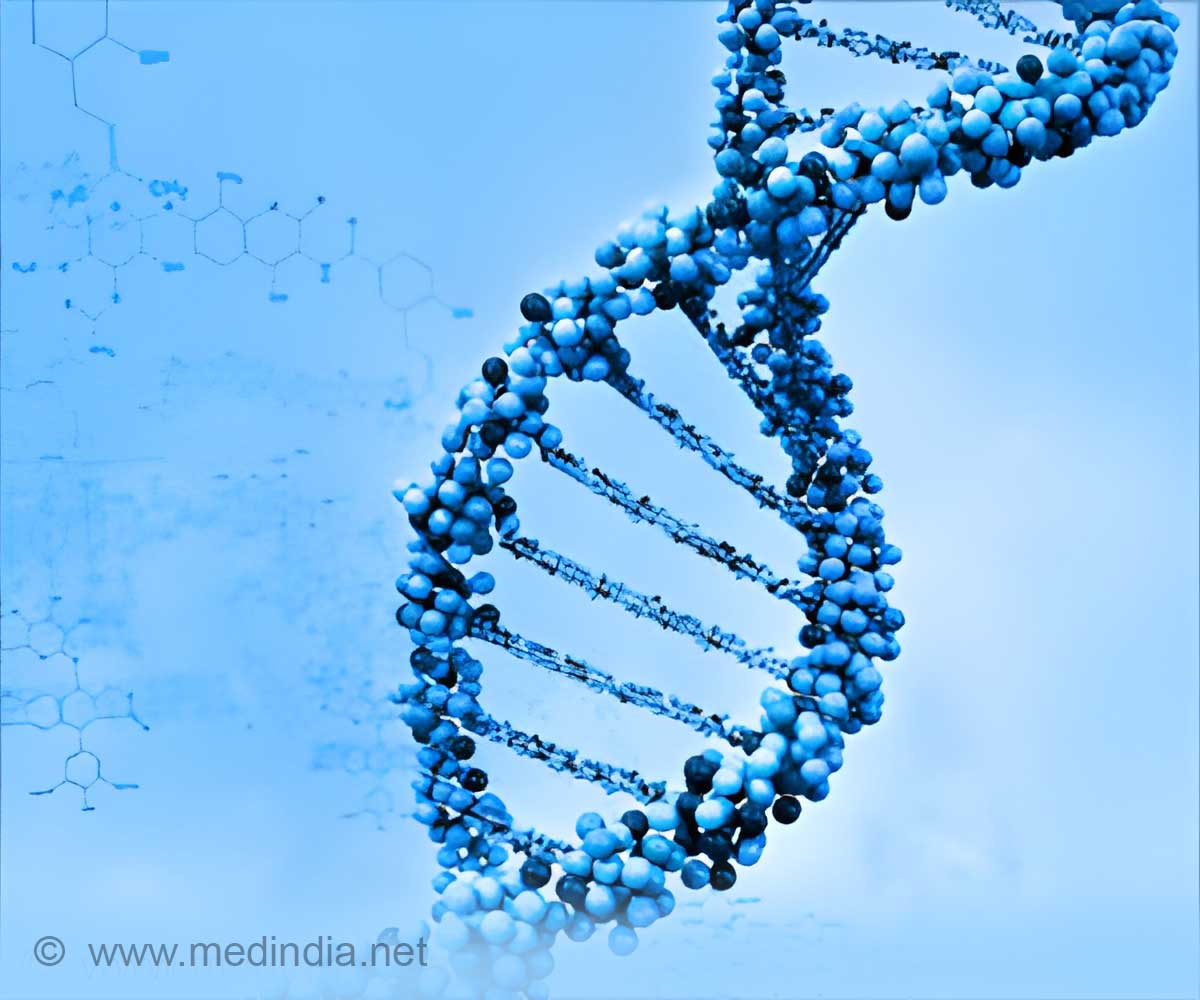 Gene Pathway Associated With Schizophrenia Discovered