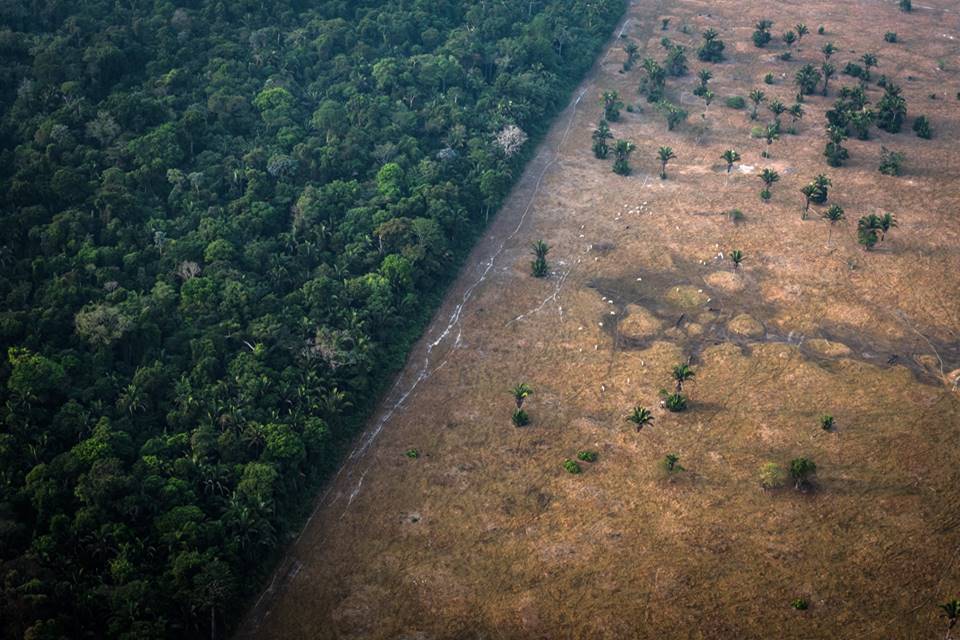 Banco Mundial estima que Amazônia preservada tem valor anual de US$ 317 bi