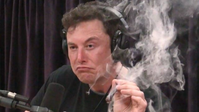 Here's Every Time Elon Musk Tanked Tesla's Share Price | Tech.Co
