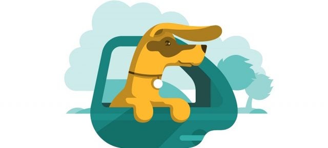 Tesla Adds Dog Mode – Because Twitter Asked | Tech.co