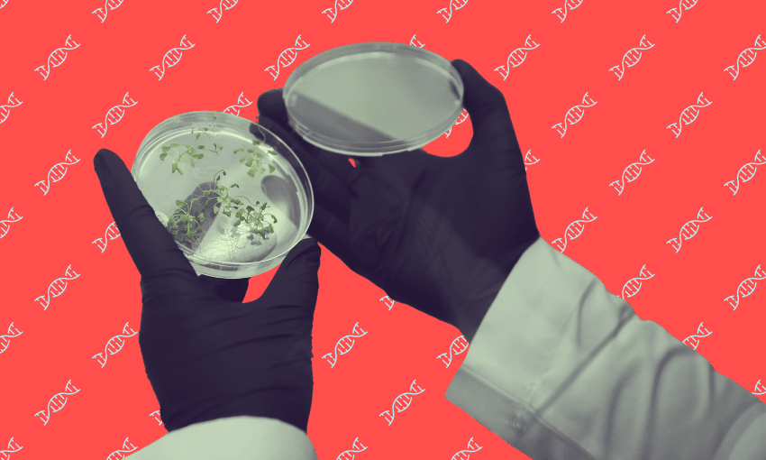 Let’s cut the crap on gene technology | The Spinoff
