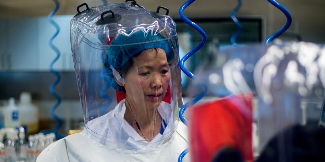 China Bat Expert Says Her Wuhan Lab Wasn’t Source of New Coronavirus - WSJ