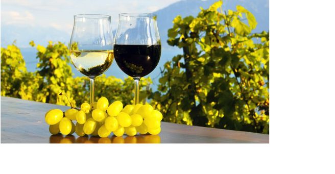 Gambero Rosso, i vini migliori sotto i 15 euro regione per regione Cook - Cucina Corriere.it