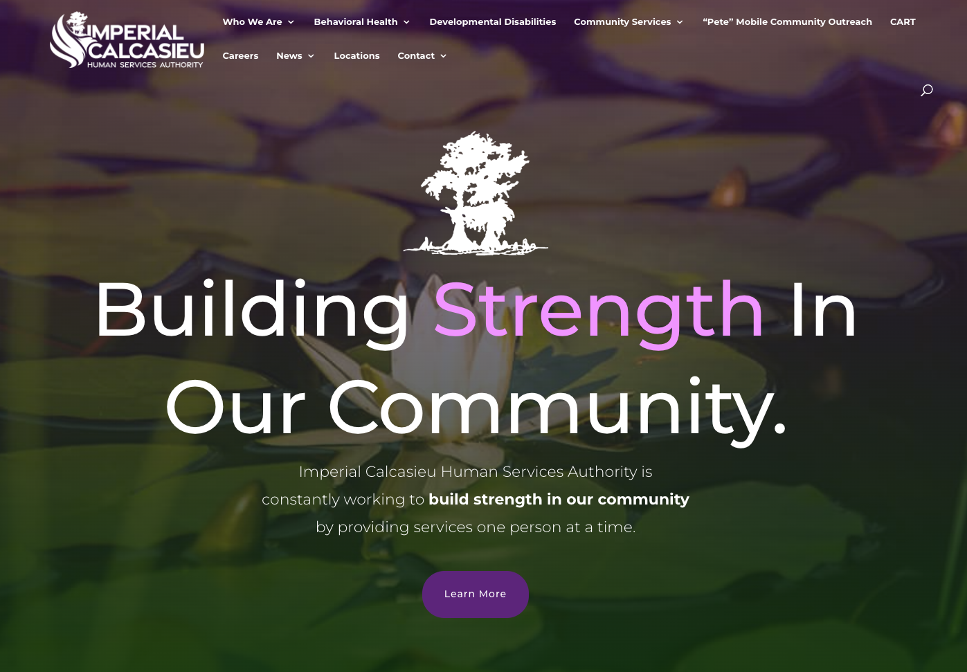 Drug Addiction Treatment In Southwest Louisiana | Imcalhsa.org
