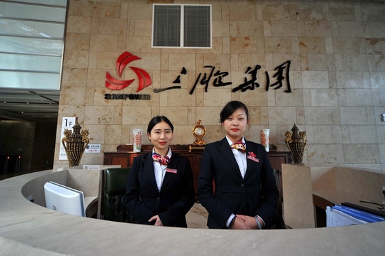 Regulators Set Up Committee to Save Debt-Ridden Conglomerate - Caixin Global