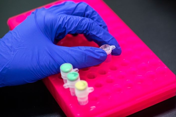 China Grants Three Patents to Gilead’s Remdesivir as Hopes Rise for Effective Treatment - Caixin Global